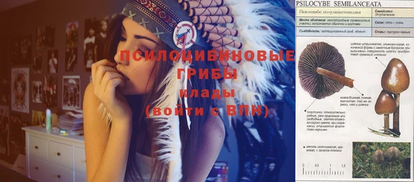 соль курить ск Пролетарск